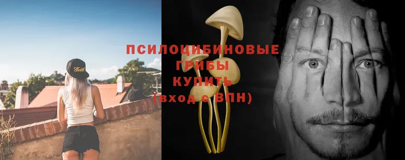 Псилоцибиновые грибы Magic Shrooms  Задонск 